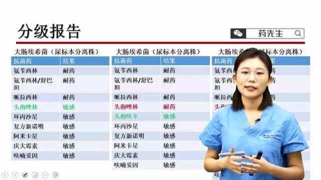 药敏报告解读【05 分级报告】药先生*北京中日友好医院