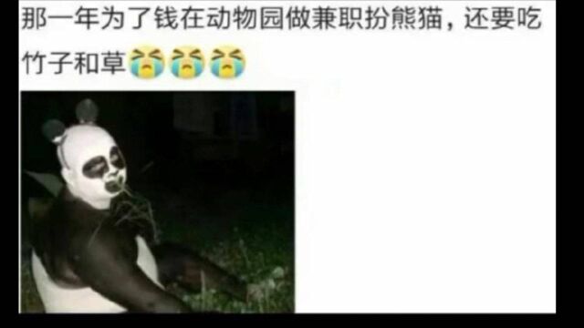 沙雕图片大合集(BGM有点臭)