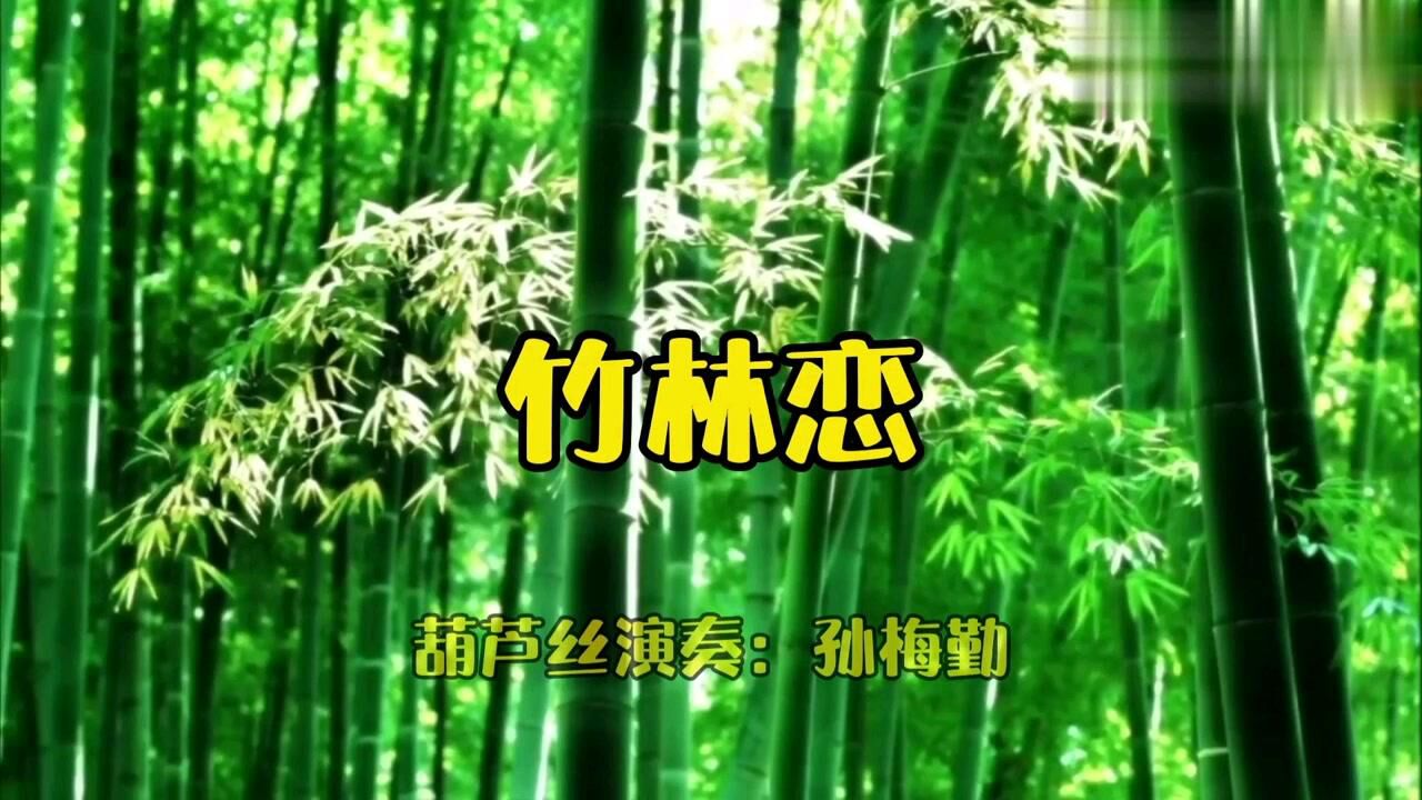 《竹林恋 葫芦丝演奏:孙梅勤