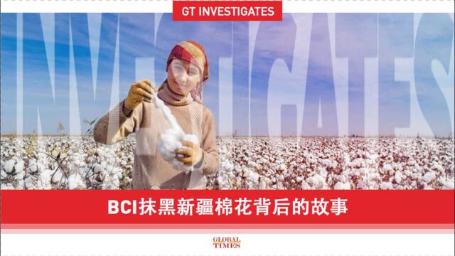 环球时报调查:BCI抹黑新疆棉花背后的故事