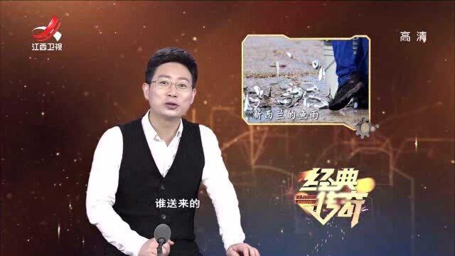 青海湖再出怪象,神秘光影水下怪物,真相总是令人诧异