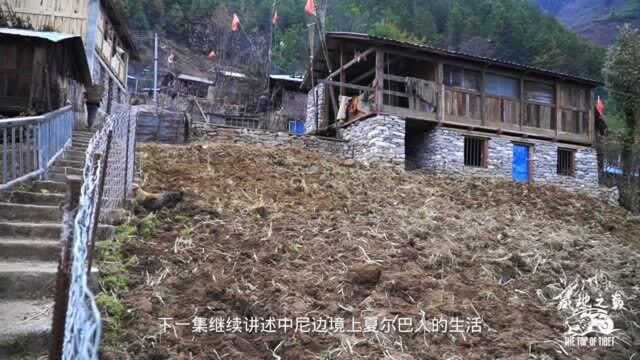 探访珠峰背夫夏尔巴人,住在悬崖上,村民背几十斤爬山,外人根本追不上