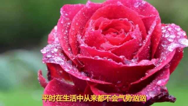 不会气势汹汹,总是非常平易近人,性格比较好的三个生肖