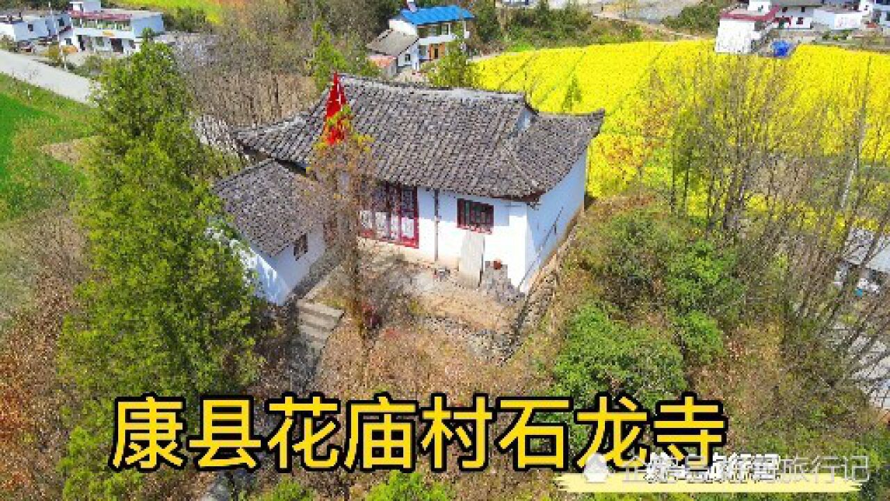 甘肃康县花庙村,路边山包上有寺庙一座,名曰:石龙寺