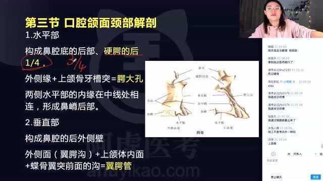 2021年阿虎教育精讲课—口腔—解剖颌面部骨之腭骨等