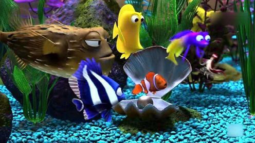 海底总动员3：小丑鱼来到了新的环境，鱼儿得知它从海底来马上给它消毒