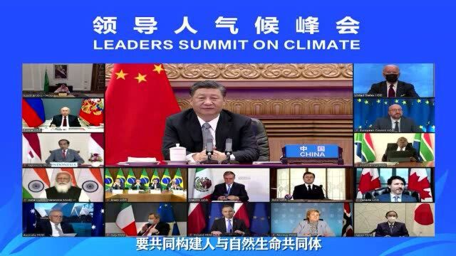 习近平:共同构建人与自然生命共同体