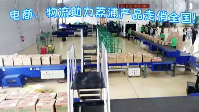 电商、物流助力荔浦产品走俏全国!