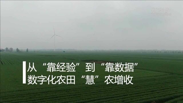 从“靠经验”到“靠数据” 数字化农田“慧”农增收