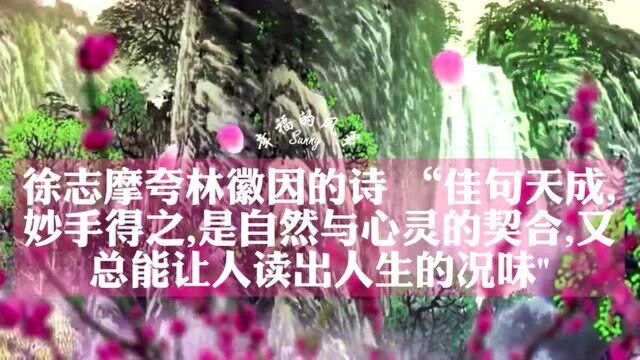 林徽因《一首桃花》民国才女唯美诗歌