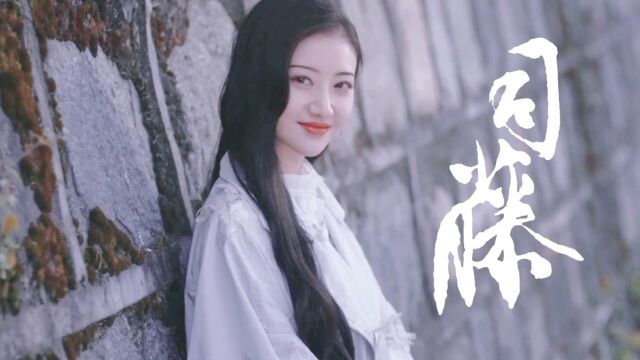 司藤|每一帧都是壁纸