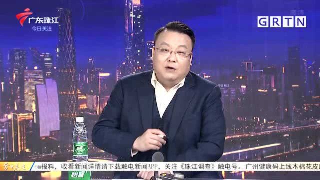 广东多地突现小黑虫 原是“榕管蓟马”