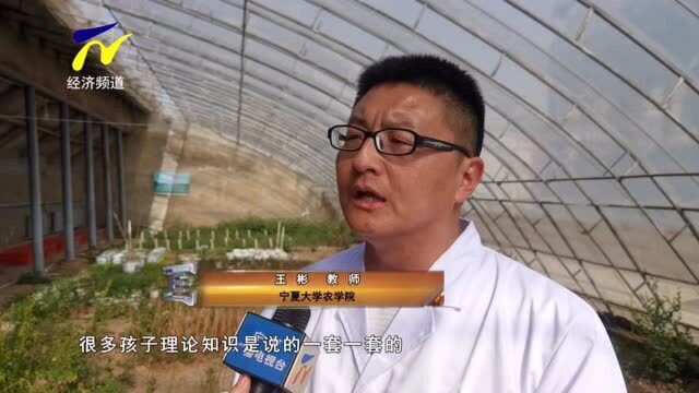 【阳光人物】全国五一劳动奖章获得者王彬:扎根教学科研一线育人才