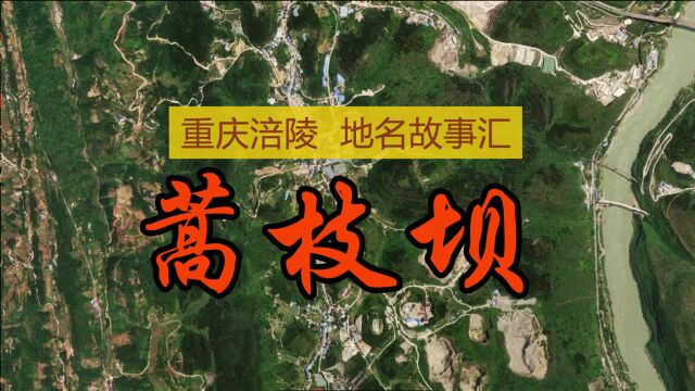 重庆涪陵地名故事汇:蒿枝坝因何而得名?