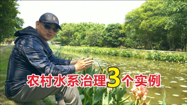 农村废弃20年河道如何治理?3个案例各有千秋,你选哪个?