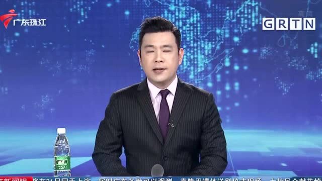 广州民办初中今起开始网上报名