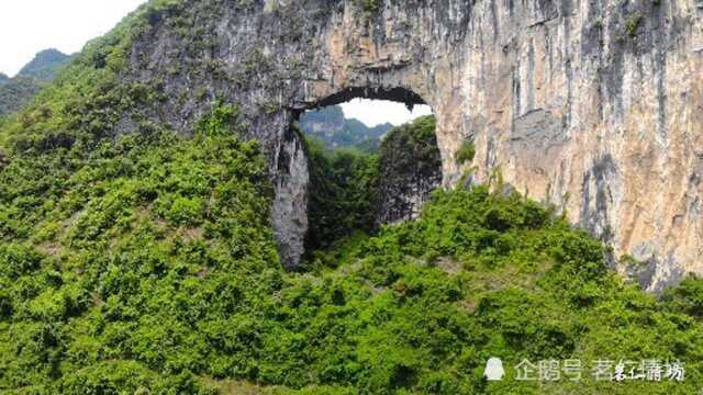 广西凤山孟里天坑,大自然鬼斧神工,有个洞口没人敢进