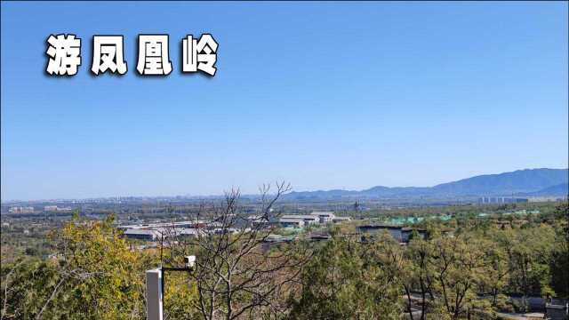 报完驾校,老杨到北京凤凰岭自然风景区爬山,心情得到片刻的放松