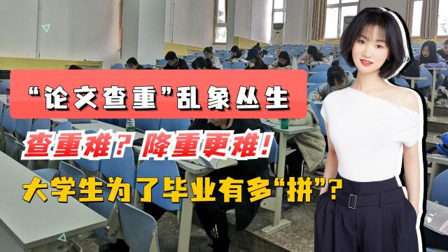 论文查重成难越的坎!“降重”成学问,“查重”成生意,夹缝求生的大学生还能怎么办?