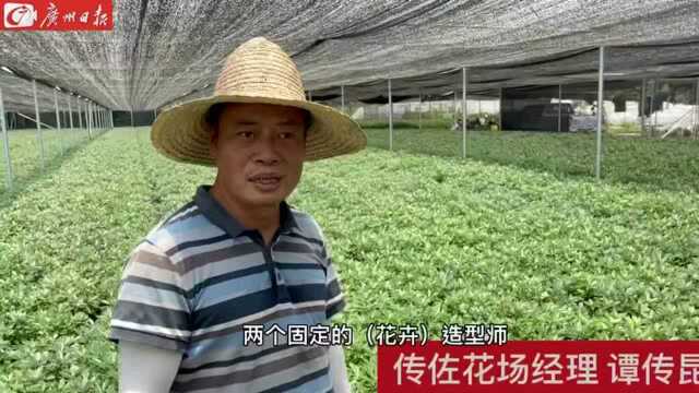 融入大湾区:大余生态产业的“引进来与走出去”