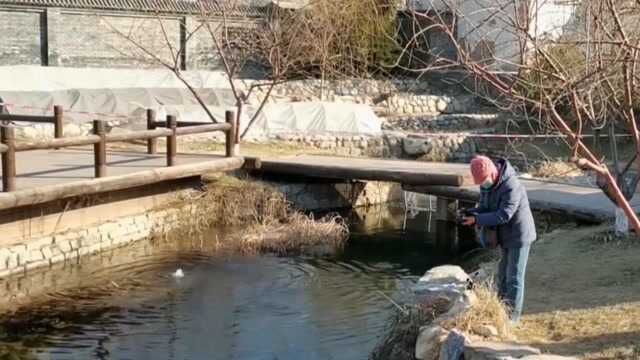 从居民区变成网红打卡地,北京前门的三里河变得不一样!