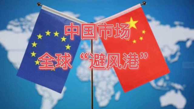 中国市场成“避风港”!中国欧盟商会:近60%欧企欲扩大在华业务