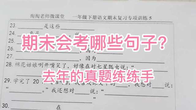 期末会考哪些句子题?用去年的真题练练手,工欲善其事必先利其器