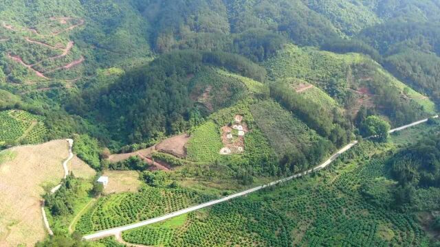 土豪花3万请师傅相地,你看前面的路,估计送人都没人要