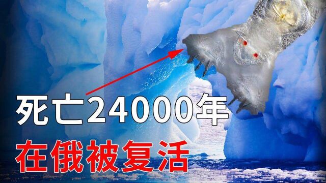 人类即将实现永生?死亡2万年生物在俄罗斯被复活,是福是祸?#“知识抢先知”征稿大赛#