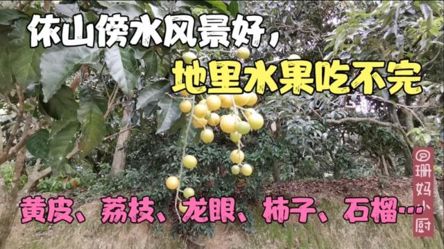 怪不得公婆不愿意来城里,这里依山傍水风景好,果园水果吃不完