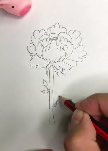 这样画一朵好看的花，你学会了吗？