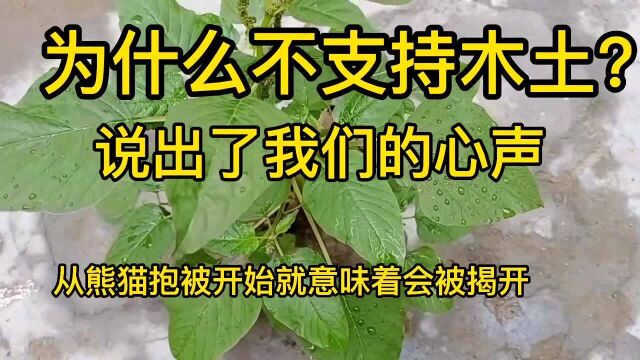 为什么不支持木土?这位女士说出了大家的心里话,让亲儿喊阿姨