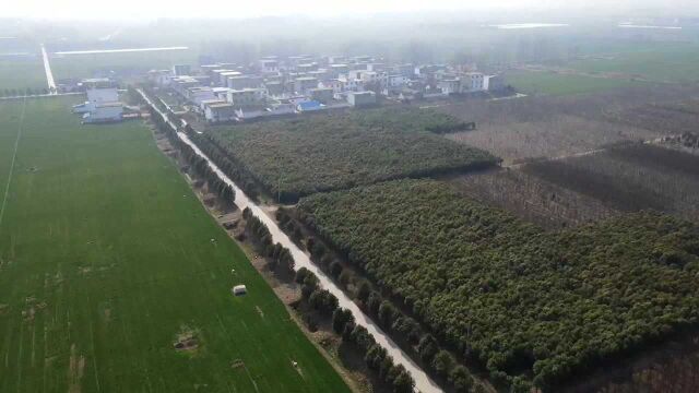 于庄自然村,安徽省阜阳市界首市大黄镇