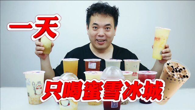 挑战一天只喝蜜雪冰城!13种口味的奶茶 哪个是你的最爱?