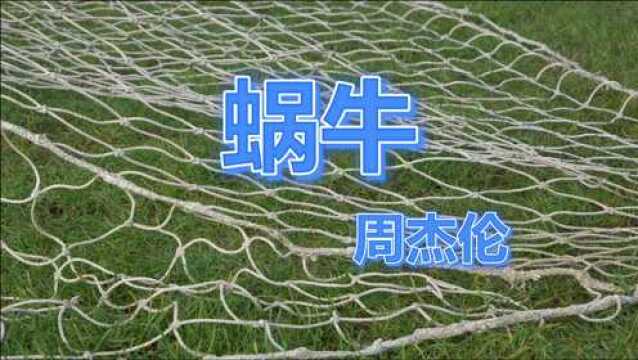 周杰伦的励志歌曲《蜗牛》激励了多少人呢?循环了无数遍