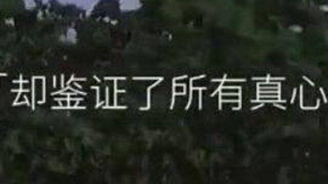 你真心了吗?#手心大小带出去 #爱情#鸡汤语录 #配音 #文案短句干净治愈 #真理