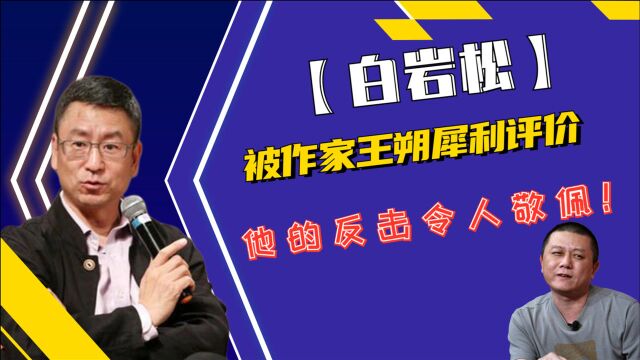 央视主持人白岩松,被作家王朔犀利评价,他的反击令人敬佩!