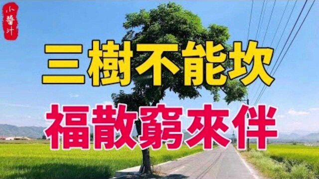 命理风水:俗话说“三树不能砍,福散穷来伴”,三树指的是什么?