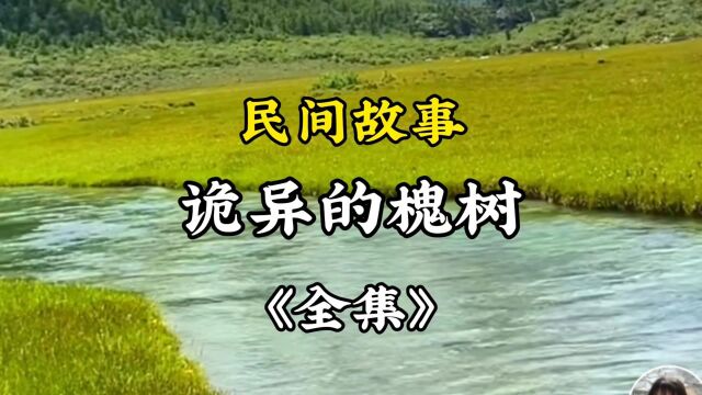 民间故事《诡异的槐树》