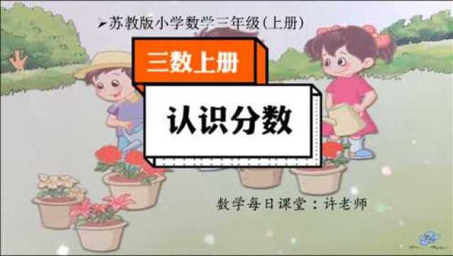 小学数学三年级上册苏教版,认识分数