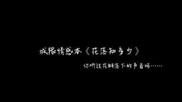 城限情感本《花落知多少》,之前带本的记录啦,这个本简直绝绝子!想玩的可以滴滴我!