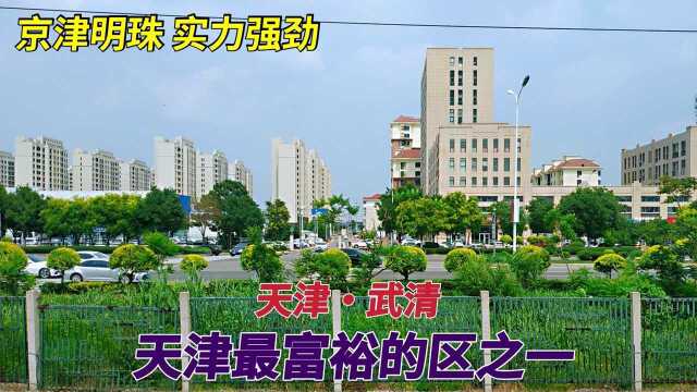 天津最富裕的区之一,京津明珠实力强劲发展迅速城市建设难以置信