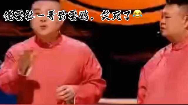 德云社—岳云鹏相声