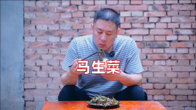 商林方方美食马生菜