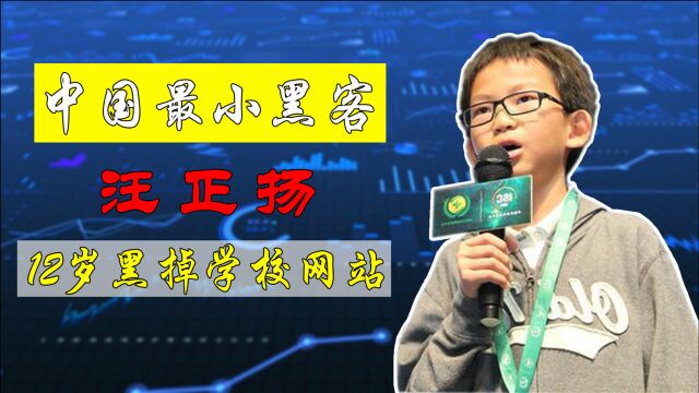 中国最小黑客汪正扬,8岁自学编程,12岁建网站,如今怎么样了?