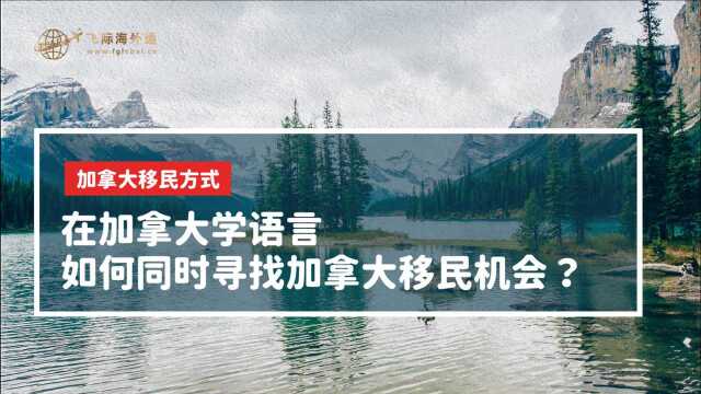 加拿大移民方式—在加拿大学语言,如何同时寻找加拿大移民机会?