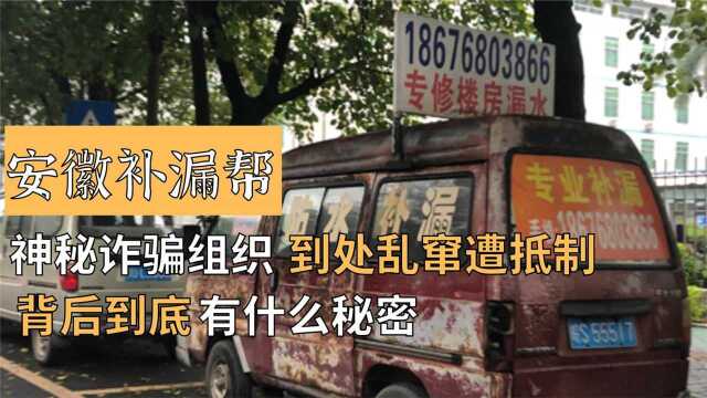 神秘诈骗组织“安徽补漏帮”?全国乱窜遭抵制,背后有何秘密?