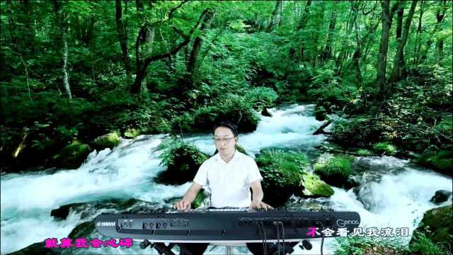 《忘情水》DJ电子琴音乐