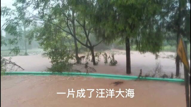 因暴雨南充营山多地受灾,愿所有人一切安好