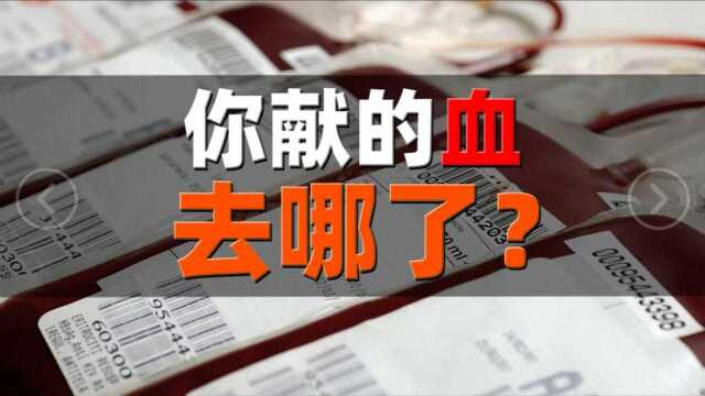 你献的血都去哪儿了?为什么会“血荒”?